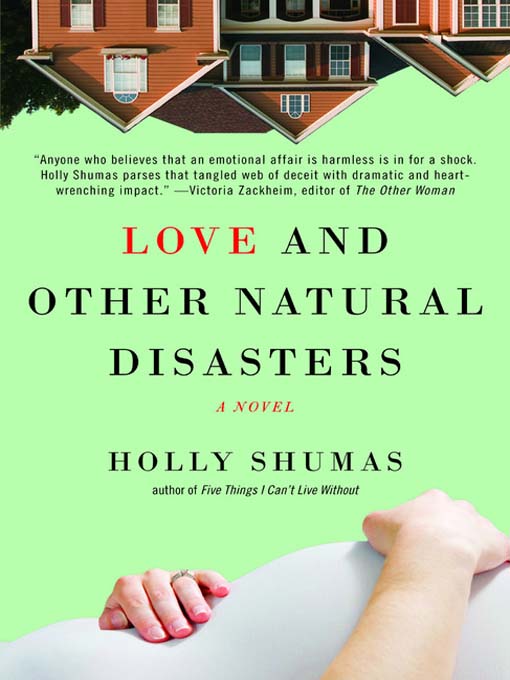 Cover image for Love and Other Natural Disasters